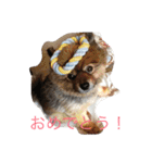 ぺぺカルミート2（個別スタンプ：11）
