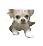 ジャックの日常。（個別スタンプ：1）