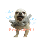 ジャックの日常。（個別スタンプ：3）