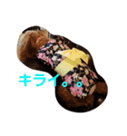 トイプードルのモカパート3（個別スタンプ：14）