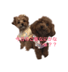 マミちゃん♡がんも君（個別スタンプ：1）