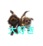 マミちゃん♡がんも君（個別スタンプ：5）