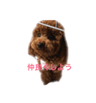 マミちゃん♡がんも君（個別スタンプ：7）