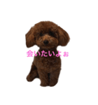 マミちゃん♡がんも君（個別スタンプ：8）