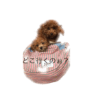 マミちゃん♡がんも君（個別スタンプ：10）