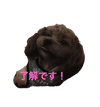 マミちゃん♡がんも君（個別スタンプ：11）