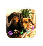 空＆陸ver.2（個別スタンプ：11）