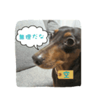 空＆陸ver.2（個別スタンプ：14）