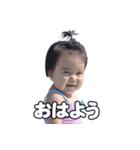 Shirapo stamp No. 1（個別スタンプ：3）