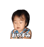 Shirapo stamp No. 1（個別スタンプ：4）