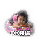 Shirapo stamp No. 1（個別スタンプ：5）