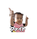 Shirapo stamp No. 1（個別スタンプ：14）