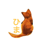 茶とらのコパン（個別スタンプ：13）