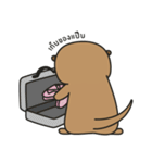 Nongnak（個別スタンプ：31）