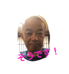 はたぼー（個別スタンプ：17）