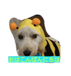 レオ丸のはんなりスタンプ（個別スタンプ：1）
