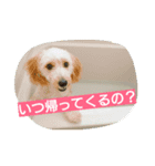 レオ丸のはんなりスタンプ（個別スタンプ：4）