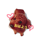 愛犬♡チョコロン（個別スタンプ：1）
