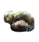 愛犬♡チョコロン（個別スタンプ：2）