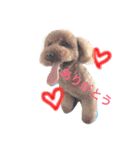 愛犬♡チョコロン（個別スタンプ：3）