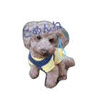 愛犬♡チョコロン（個別スタンプ：4）