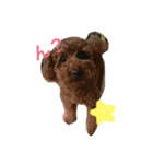 愛犬♡チョコロン（個別スタンプ：7）