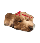 愛犬♡チョコロン（個別スタンプ：8）