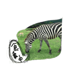 AnimalAnimal stamp（個別スタンプ：3）