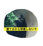 AnimalAnimal stamp（個別スタンプ：4）