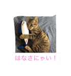 MIX猫ゆず（個別スタンプ：8）
