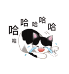 Tuxedo cat ＆ his friends（個別スタンプ：3）