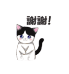 Tuxedo cat ＆ his friends（個別スタンプ：10）