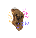 ジャック,（個別スタンプ：8）