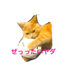 コタロウ日記（個別スタンプ：4）