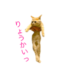 コタロウ日記（個別スタンプ：15）
