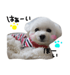 ふわもこコンビ（個別スタンプ：3）