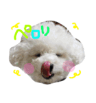 ふわもこコンビ（個別スタンプ：6）