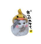 ふわもこコンビ（個別スタンプ：13）