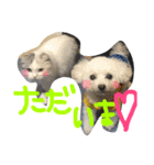 ふわもこコンビ（個別スタンプ：20）