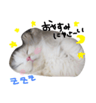 ふわもこコンビ（個別スタンプ：24）
