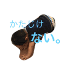 蒼士と十瑠。なかよし兄弟（個別スタンプ：30）