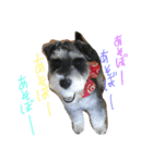 バロ氏。（個別スタンプ：1）
