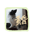 gomashio.（個別スタンプ：6）