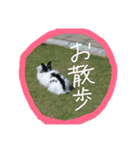 gomashio.（個別スタンプ：8）