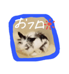 gomashio.（個別スタンプ：9）