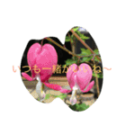 甲斐犬と花（個別スタンプ：16）
