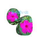 甲斐犬と花（個別スタンプ：22）