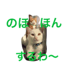 こじとら兄弟（個別スタンプ：7）