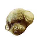 ゆかいなワンズたち（個別スタンプ：2）