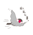関西弁の桜文鳥（個別スタンプ：7）